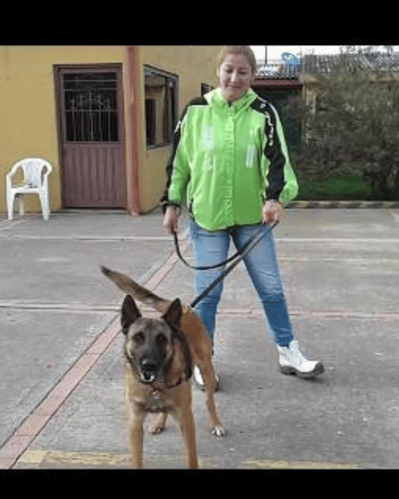 Galería KANINOS TRAINING COLOMBIA